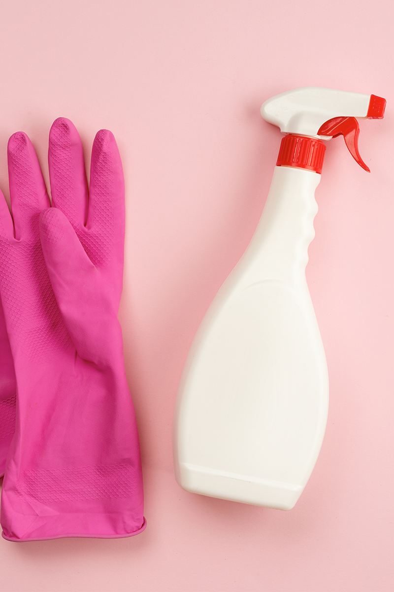 Room Clean - 2x per month (1 Month)