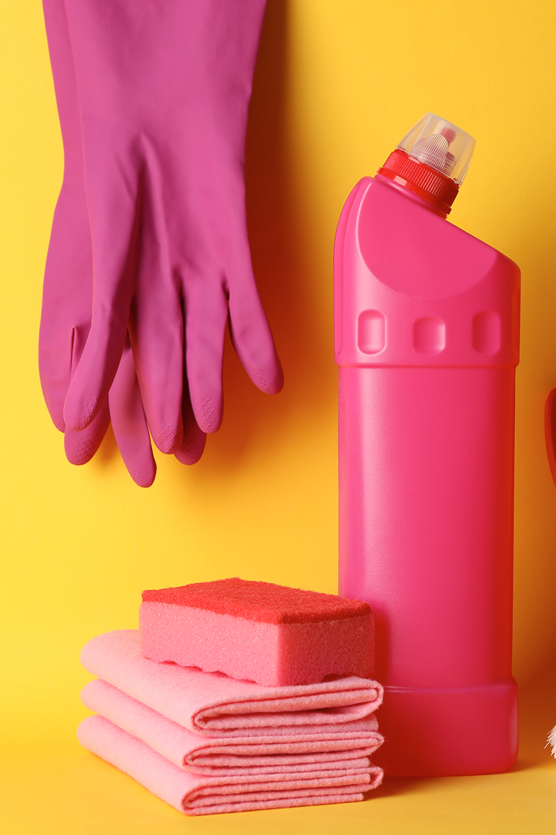 Room Clean - 2x per month (Full Year Bundle)